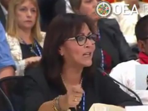 Peruana Milagros Aguayo en la OEA 2019