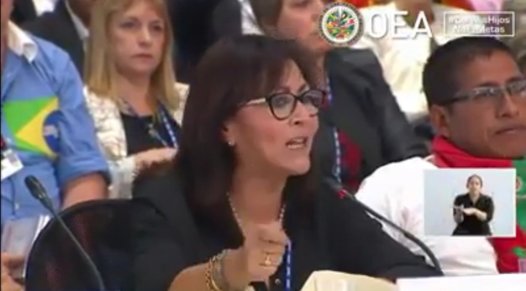 Peruana Milagros Aguayo en la OEA 2019